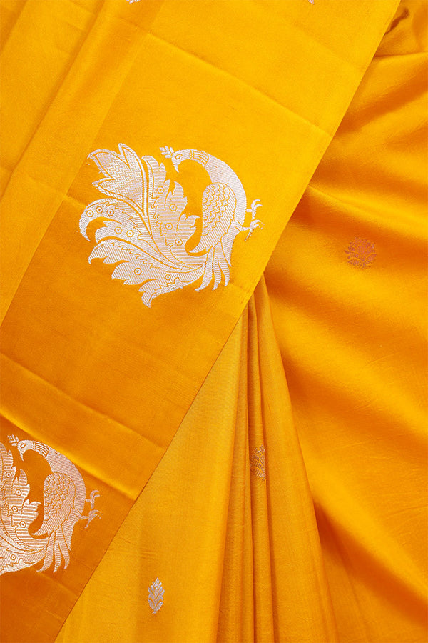 Peacock Motifs Handloom Banarasi Silk Saree