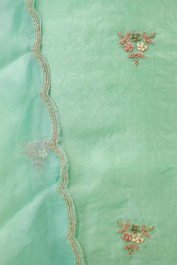 Aqua Blue Organza Salwar Suit with Floral Hand Embroidery