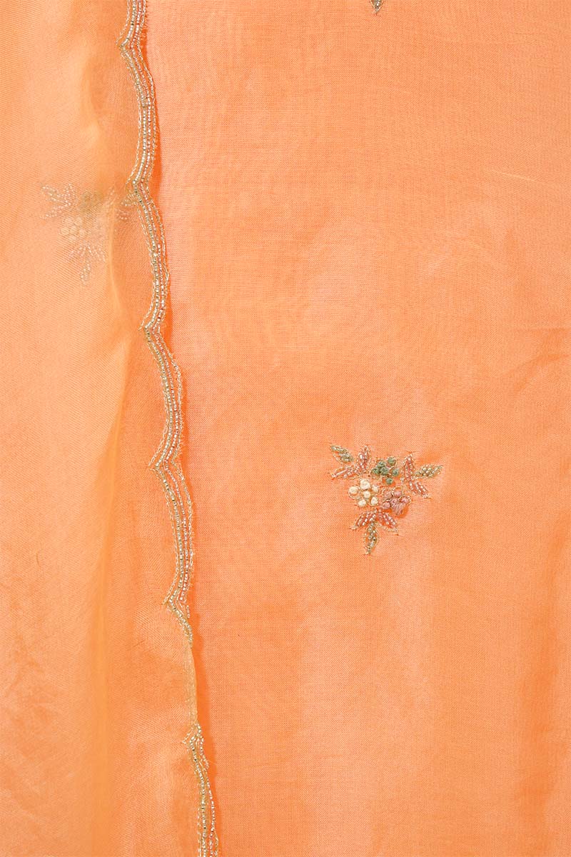 Peach Organza Salwar Suit with Floral Hand Embroidery