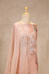 Baby Pink Tissue Silk Salwar Suit with Floral Hand Embroidery