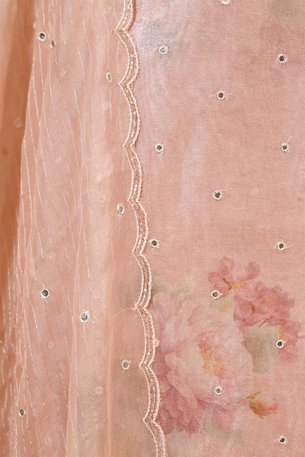 Baby Pink Tissue Silk Salwar Suit with Floral Hand Embroidery