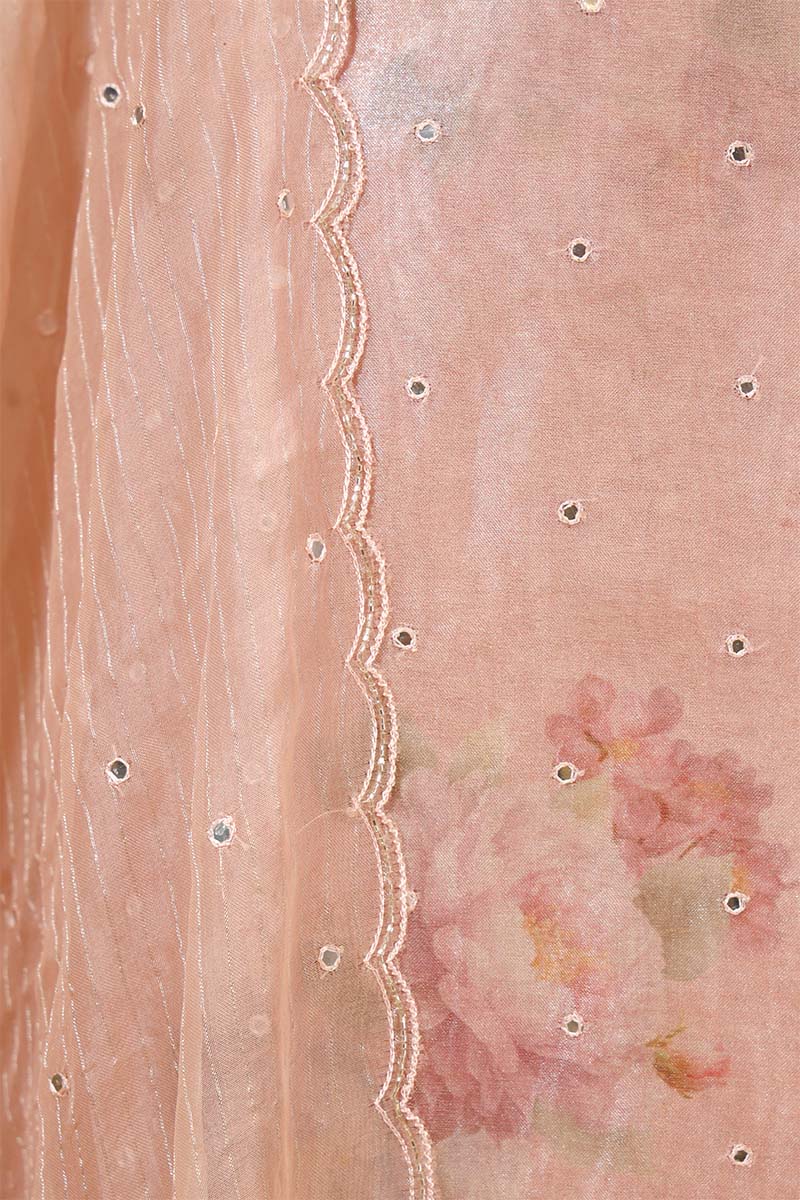 Baby Pink Tissue Silk Salwar Suit with Floral Hand Embroidery