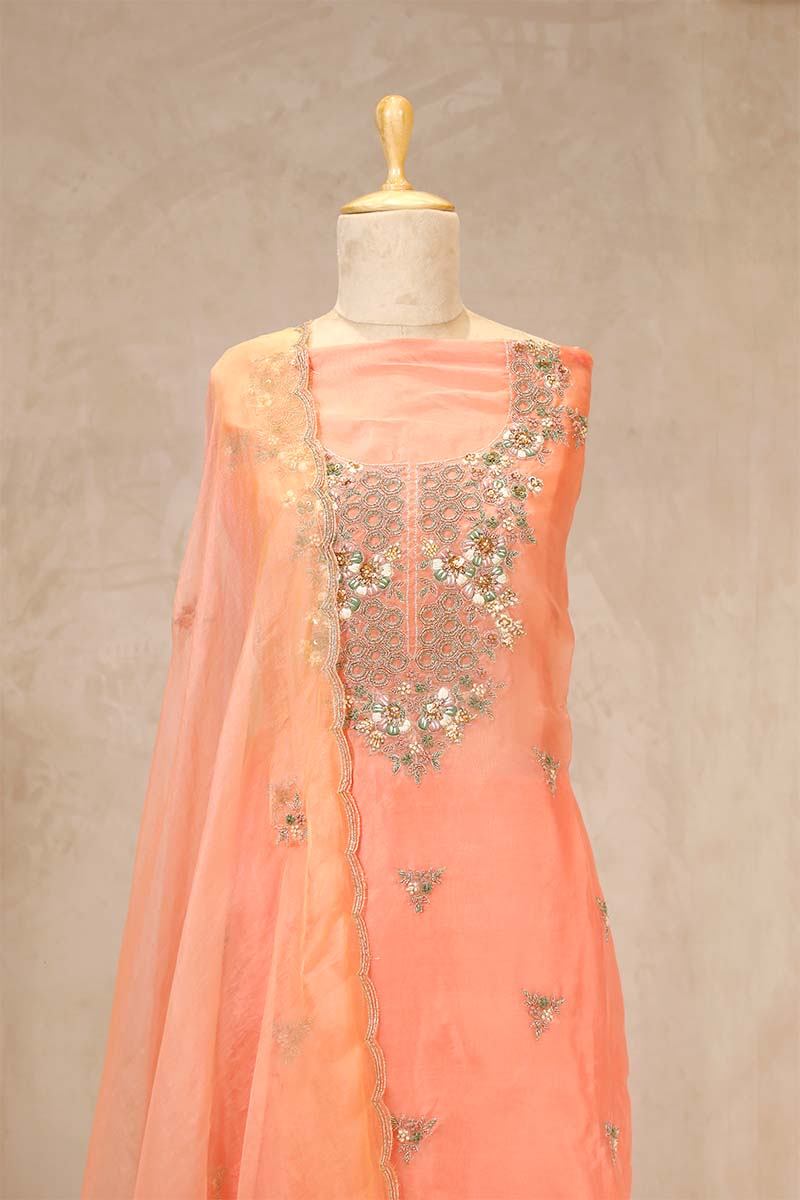 Salmon Peach Organza Salwar Suit with Floral Hand Embroidery