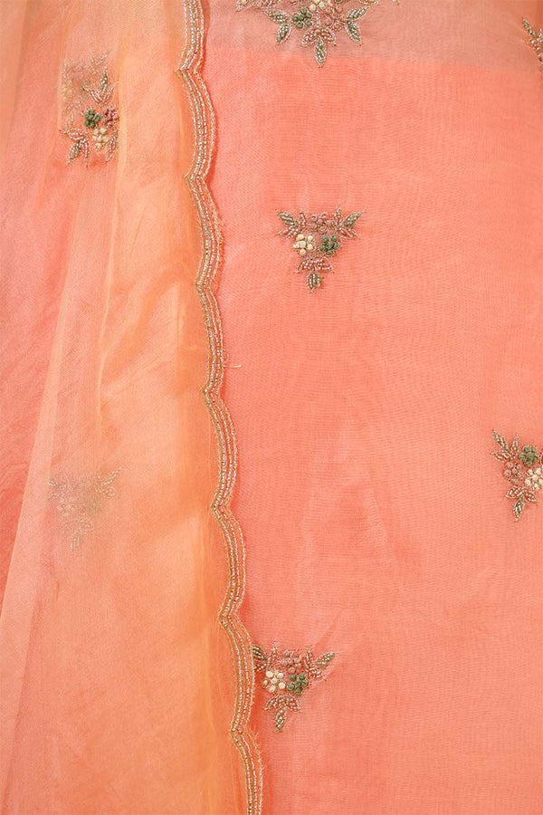 Salmon Peach Organza Salwar Suit with Floral Hand Embroidery