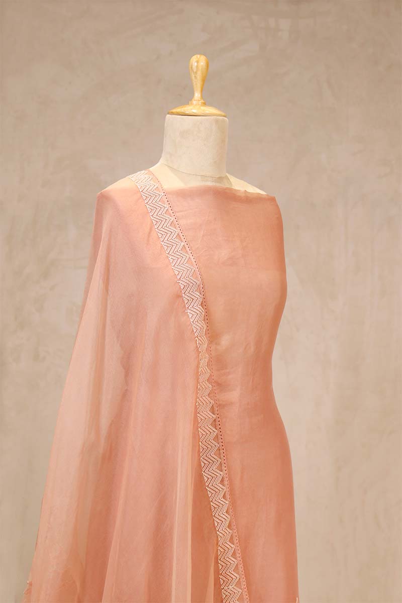 Peach Organza Silk Salwar Suit with Mayur Motif Dupatta