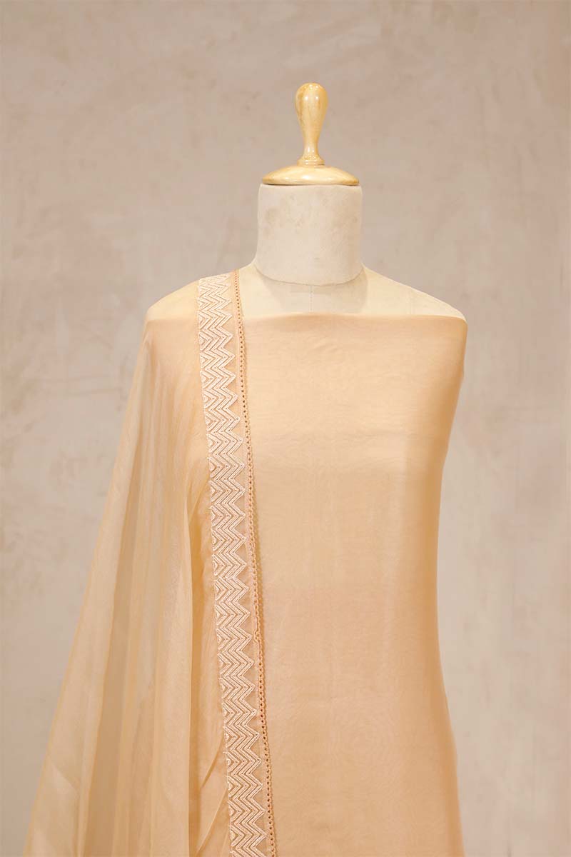 Light Peach Organza Silk Salwar Suit with Mayur Motif Dupatta