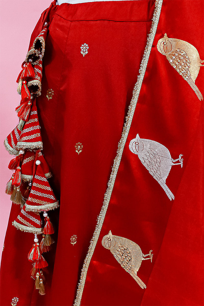 Red Banarasi Silk Lehenga with Gayatri Mantra & Bird Motifs