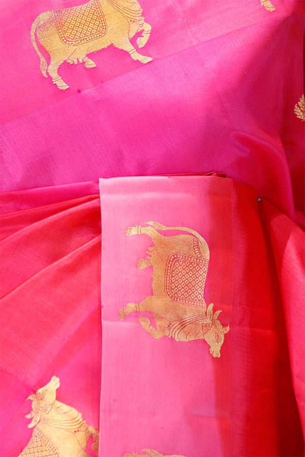 Fuscia Pink Pichwai Handloom Banarasi Silk Saree