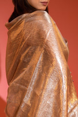 tissue silk saree texture