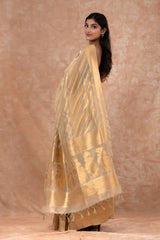 Glittery Gold Striped Woven Banarasi Cotton Saree - Chinaya Banaras