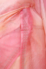 Pink Handpainted Organza Saree with Siroksi Work