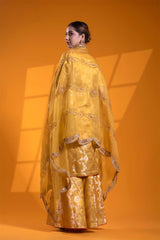 Yellow Banarasi Salwar Suit Set with Meenakari Bird Motifs