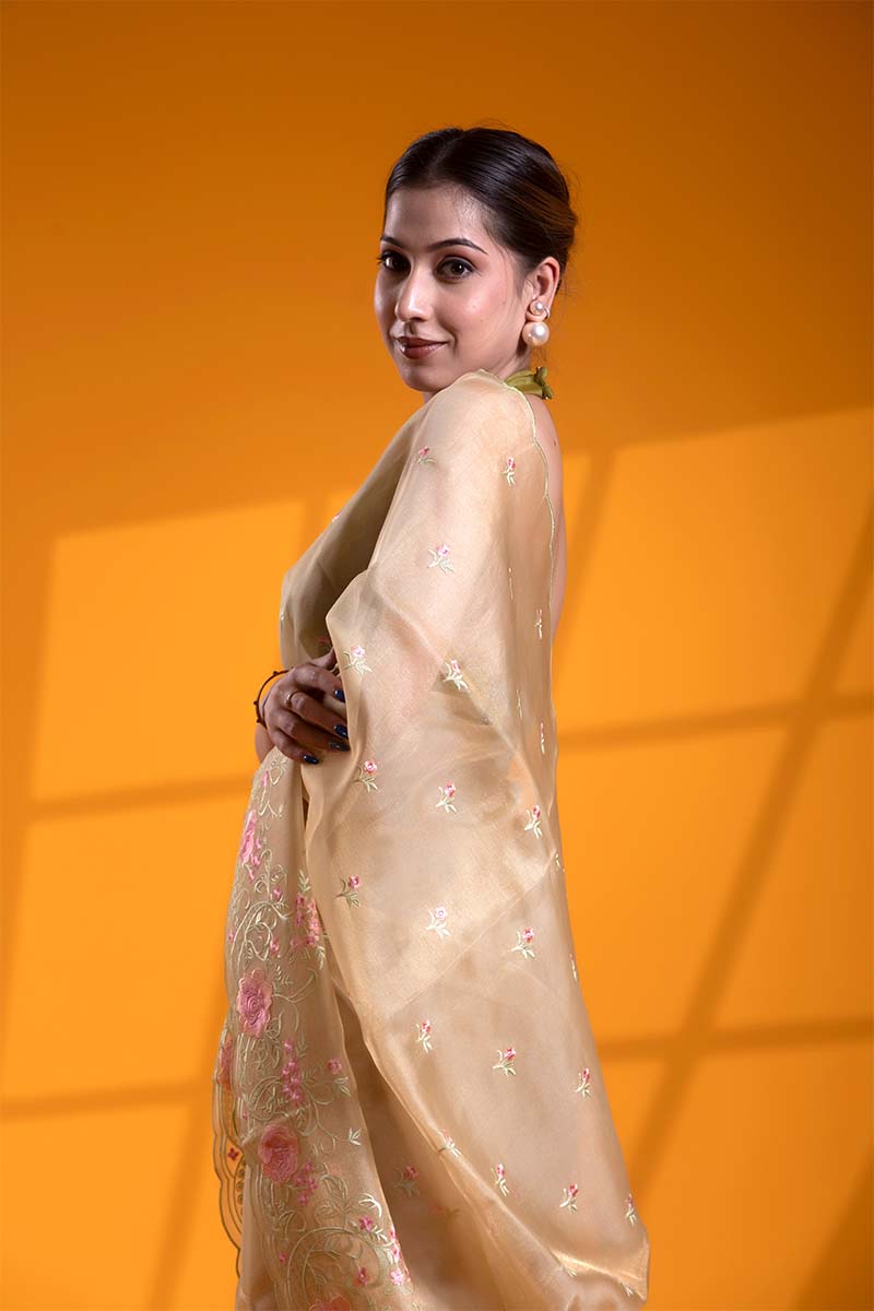 Beige Tissue Silk Saree with Resham Floral Embroidery