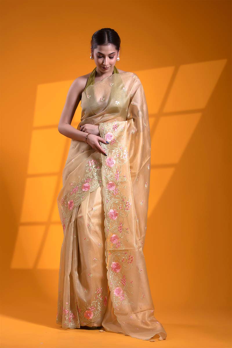 Beige Tissue Silk Saree with Resham Floral Embroidery