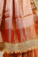 Rust Embellished Party Wear Tissue Silk Saree